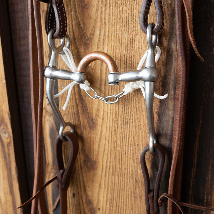 Correction w/ Copper Bridle Rig Sale Barn MISC