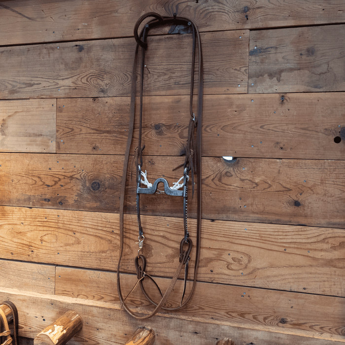 Gordy Alderson Port Bit Bridle Rig
