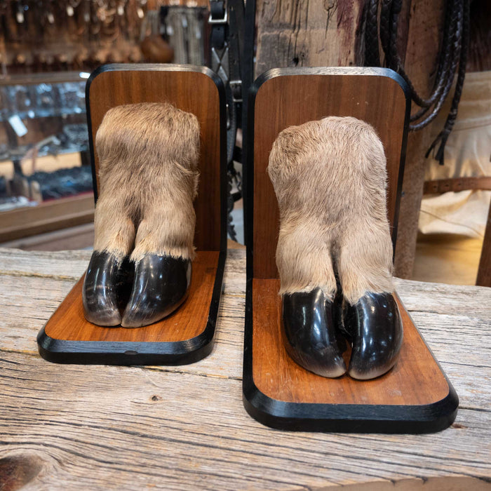 Elk Hooves Bookends