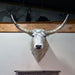 Mounted Longhorn Steer Head Collectibles MISC