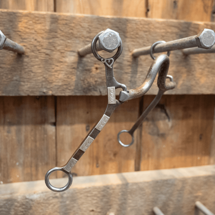 Biggs Silver Mounted Solid Port Bit