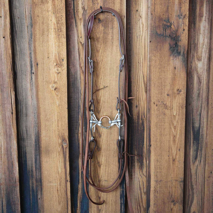 Correction w/ Copper Bridle Rig Sale Barn MISC