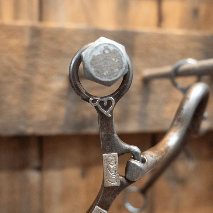 Biggs Silver Mounted Solid Port Bit