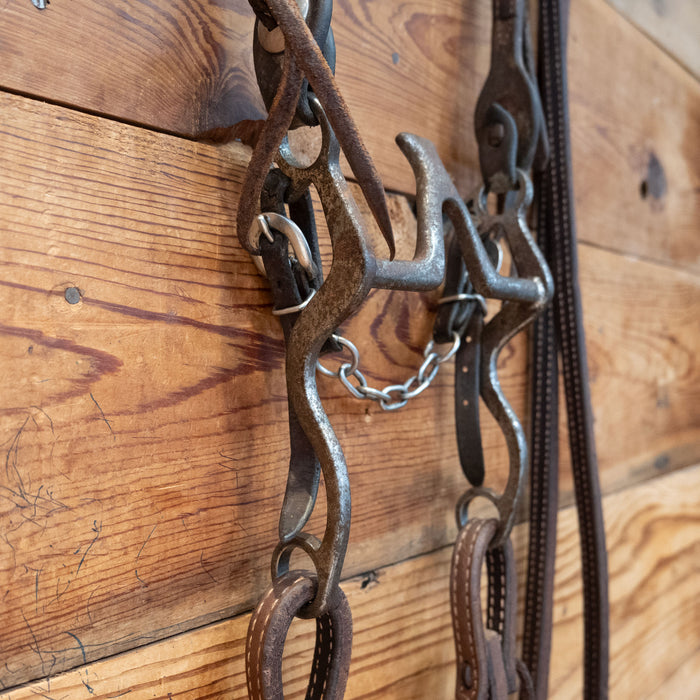 Cathedral Bridle Rig