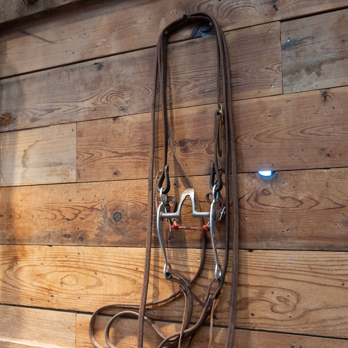 Reinsman Cathedral Bridle Rig