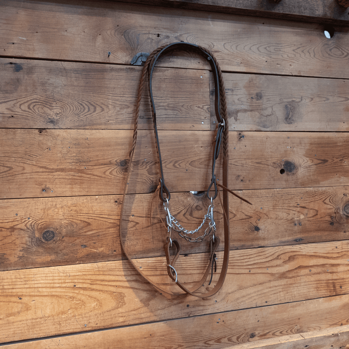 Classic Equine Chain Bit Bridle Rig