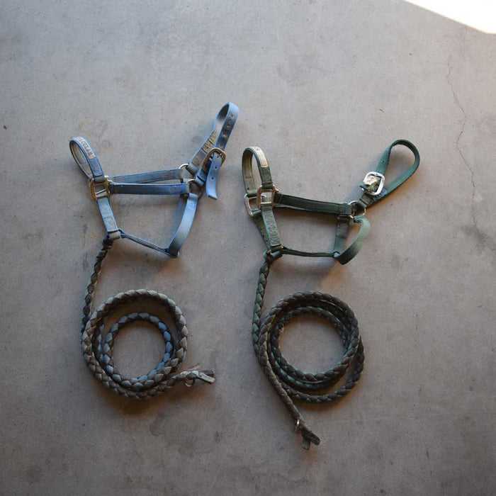 Used Halter With Lead Set Of 2 Sale Barn Teskeys   