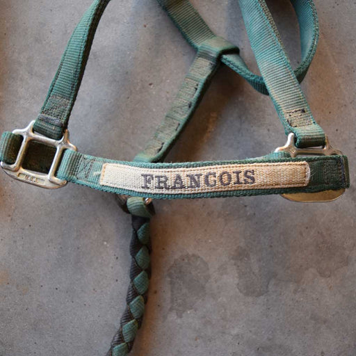 Used Halter With Lead Set Of 2 Sale Barn Teskeys   