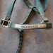 Used Halter With Lead Set Of 2 Sale Barn Teskeys   