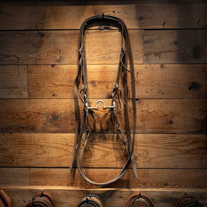 Correction w/ Brass Bars Bridle Rig