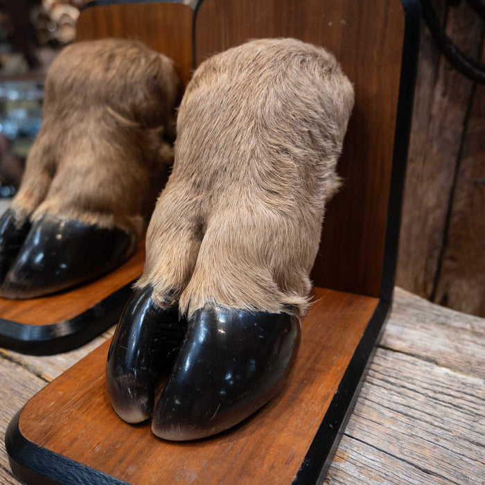 Elk Hooves Bookends