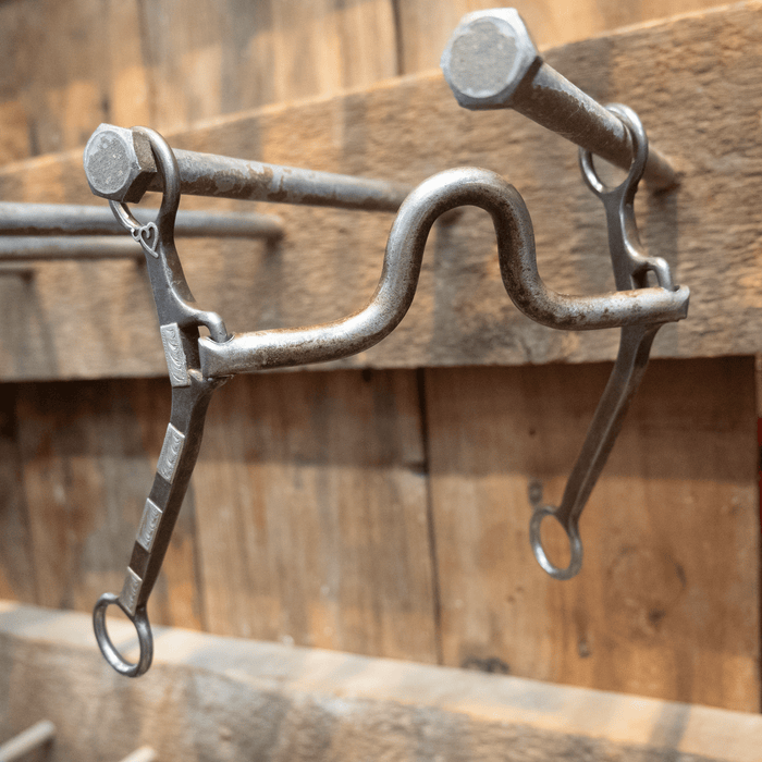 Biggs Silver Mounted Solid Port Bit