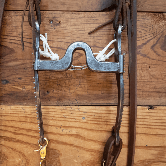 Gordy Alderson Port Bit Bridle Rig