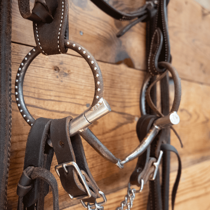 Tom Balding D-Ring-Snaffle Bridle Rig