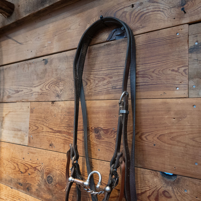 Kerry Kelley Silver Mounted Correction Bridle Rig