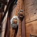 Kerry Kelley Silver Mounted Rymo 10 77 Bridle Rig Tack - Rigs Kerry Kelley