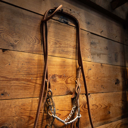 Sherry Cervi Twisted Gag Bridle Rig Tack - Rigs Sherry Cervi