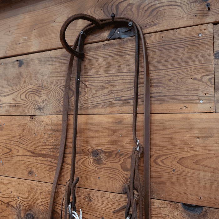 Gordy Alderson Port Bit Bridle Rig