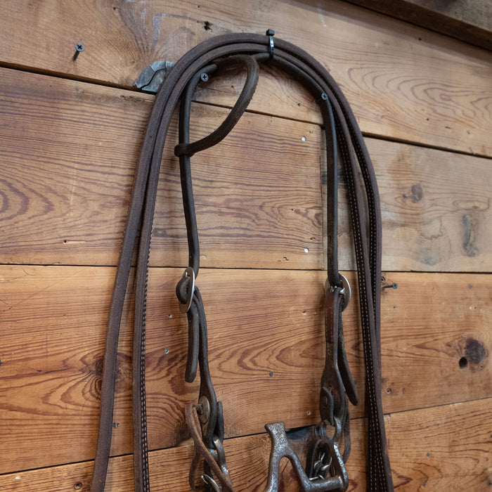 Cathedral Bridle Rig