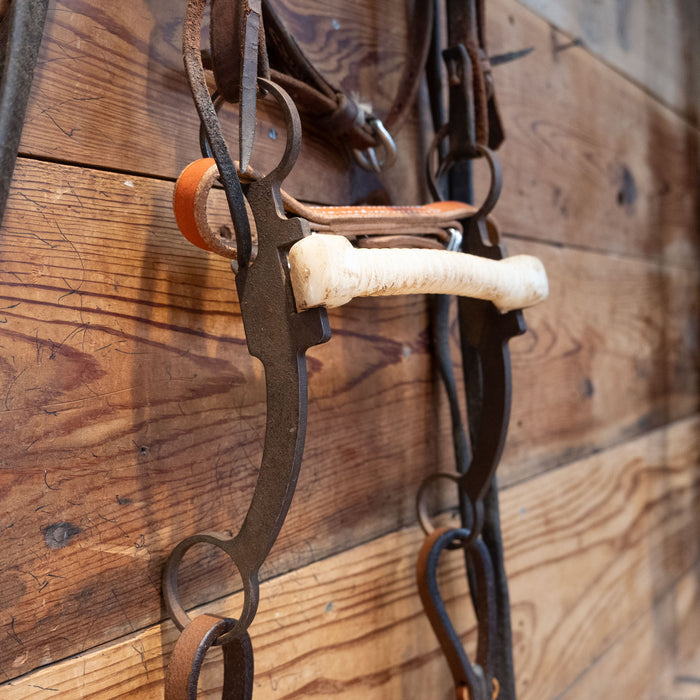 Plastic Mullen Bit Bridle Rig