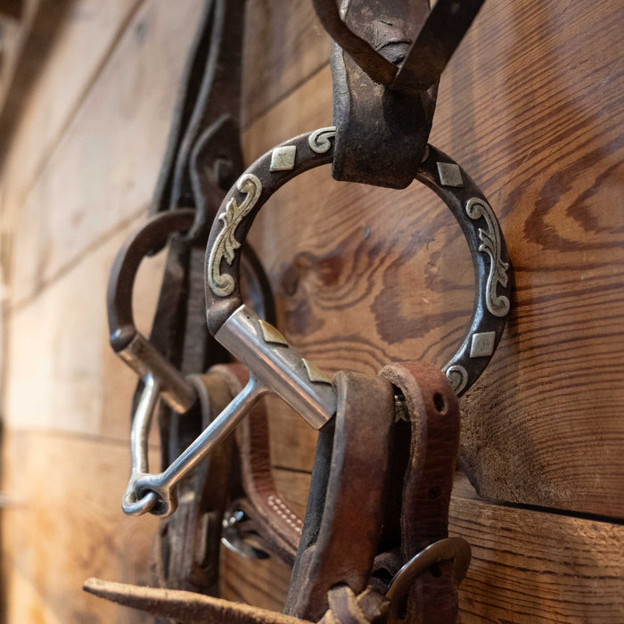 Classic Equine D-Ring Snaffle Bridle Rig