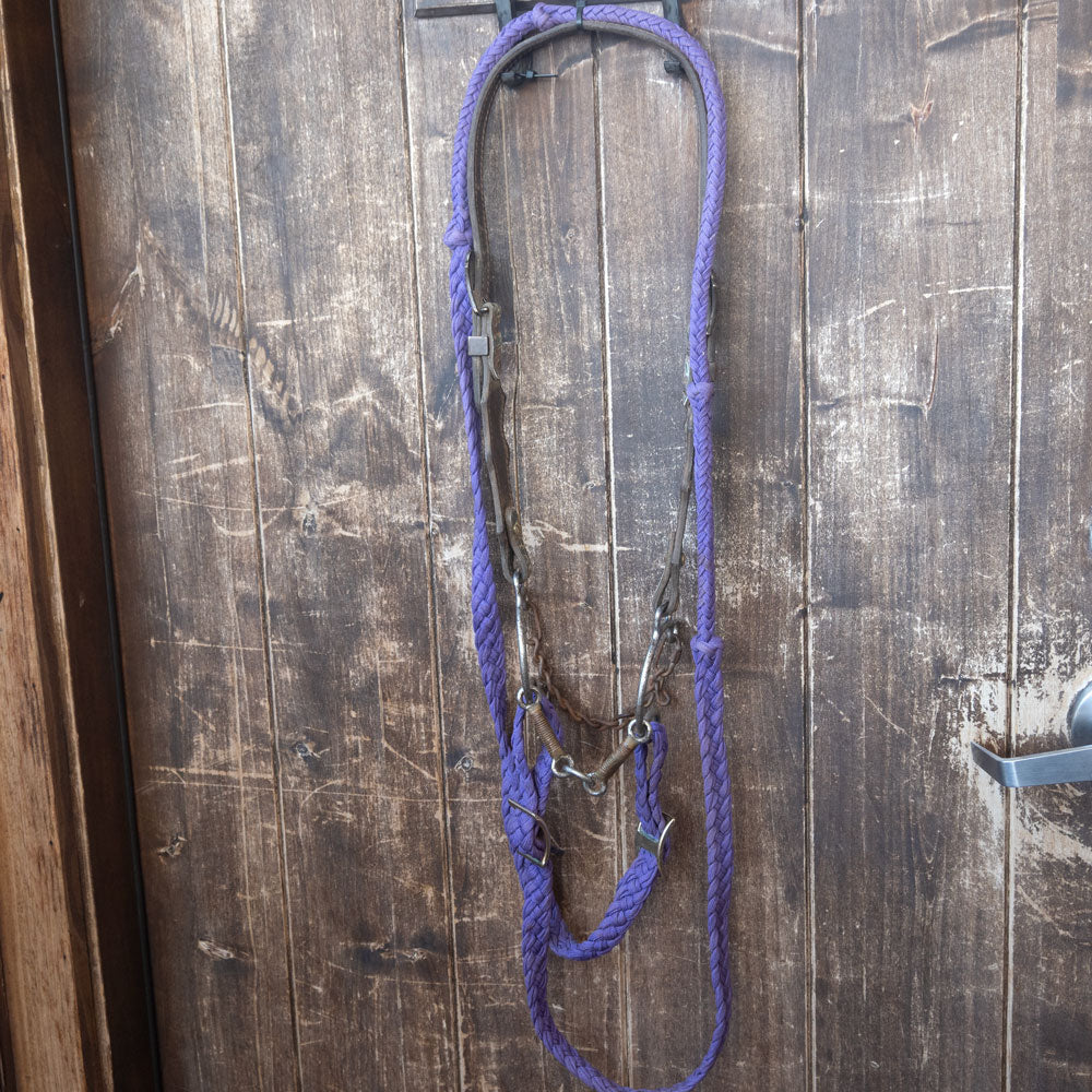 Sweet 6 with Lifesaver Bit Bridle Rig