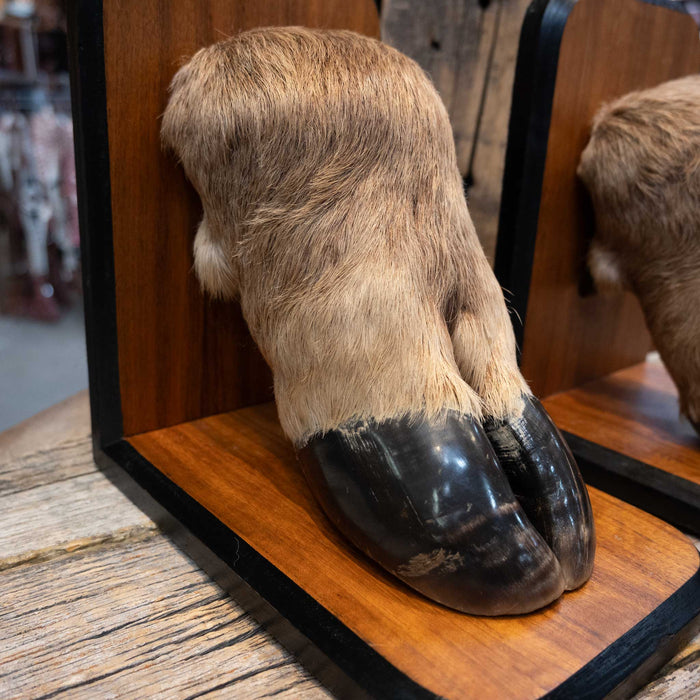 Elk Hooves Bookends