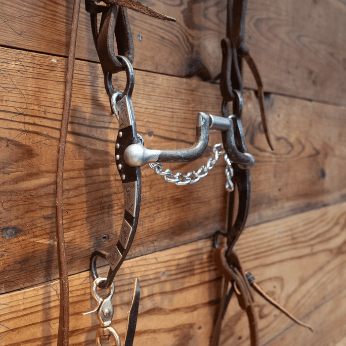 Hinge Port Bit Bridle Rig