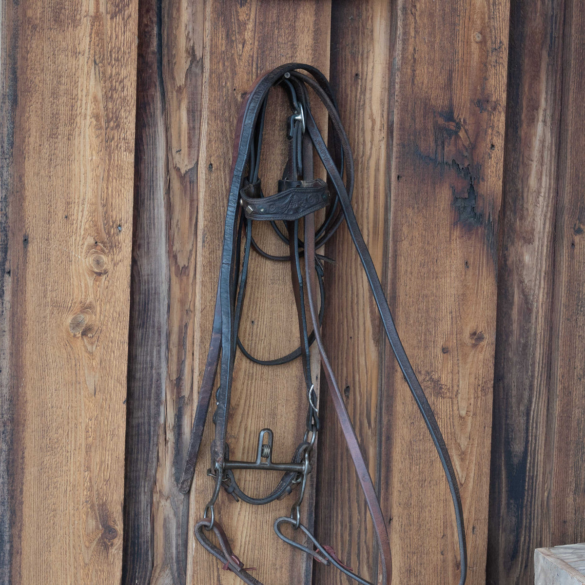 Vintage Horse Bridle Rig - Buerman Bit _C455 - Teskeys
