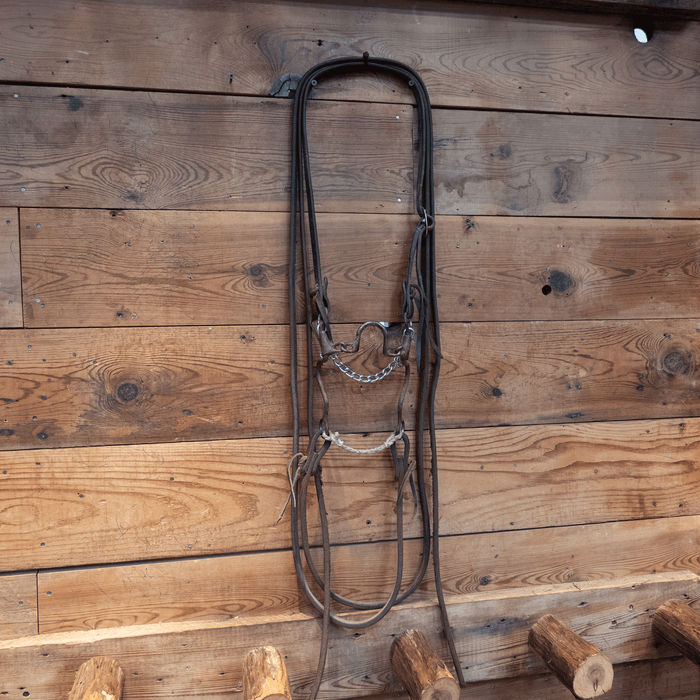 Ported Chain Bit Bridle Rig