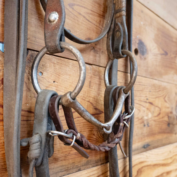 Gonzales O-Ring Snaffle Bridle Rig