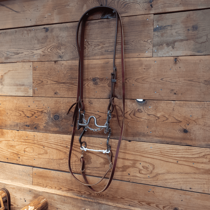 Gordy Alderson Port Bit Bridle Rig