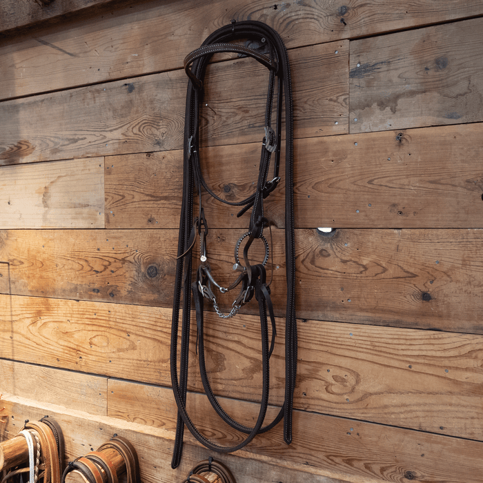 Tom Balding D-Ring-Snaffle Bridle Rig