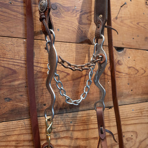 Mike Beer Chain Bit Bridle Rig