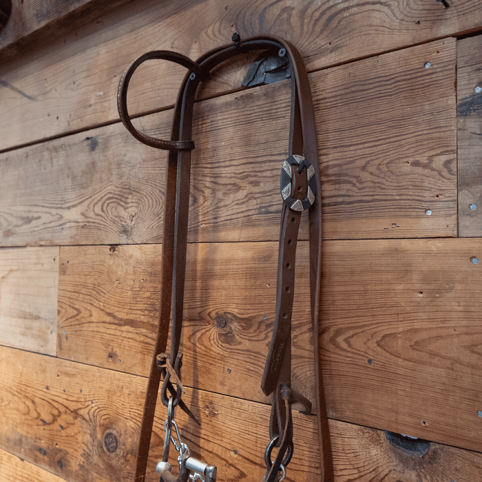 Hinge Port Bit Bridle Rig