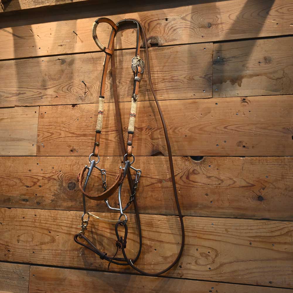 Bridle Rig - Dale Chaves Headstall - RIG412