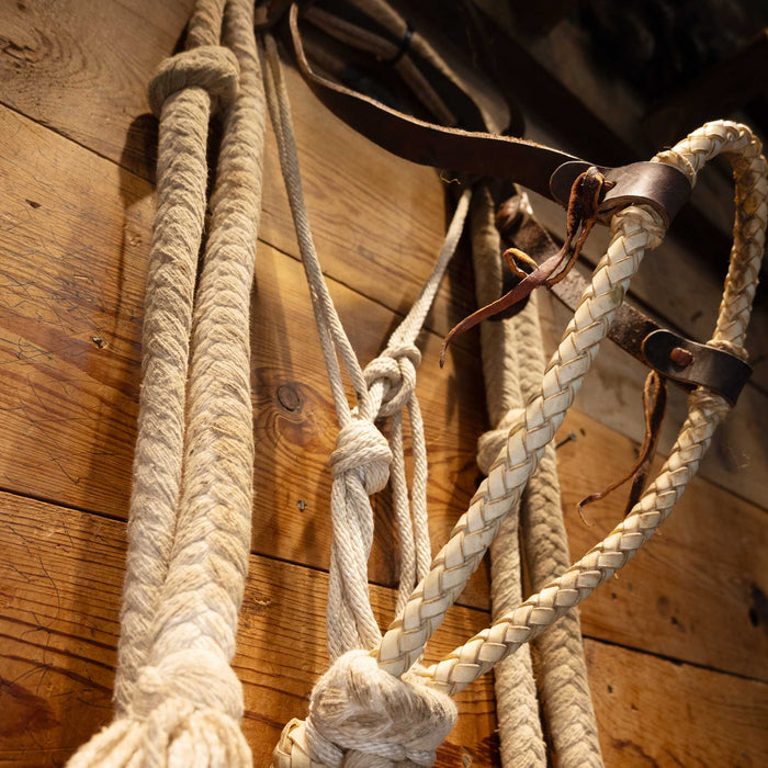 Leather Nose Loping Hack