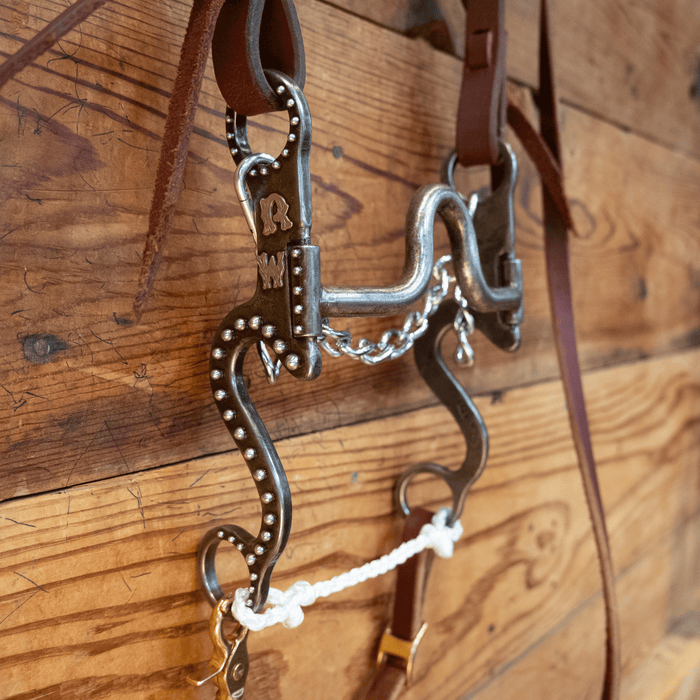 Gordy Alderson Port Bit Bridle Rig