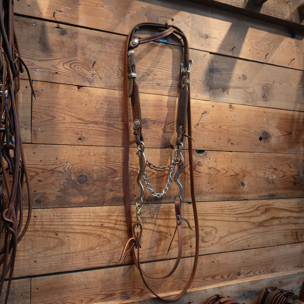 Mike Beer Chain Bit Bridle Rig