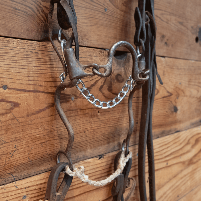 Ported Chain Bit Bridle Rig
