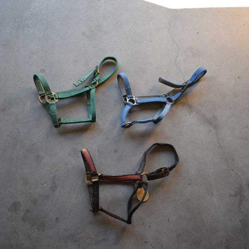 Used Halter Set of 3 Sale Barn Teskeys   