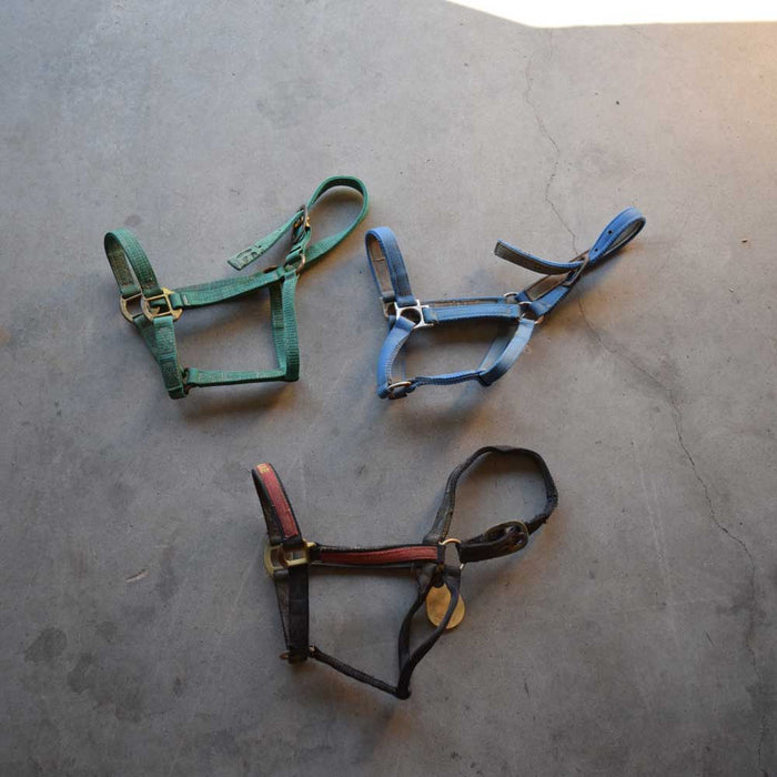 Used Halter Set of 3 Sale Barn Teskeys   