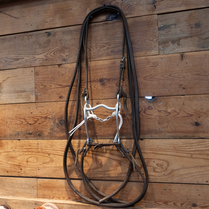 Barry Guillory Grazing bit Bridle Rig