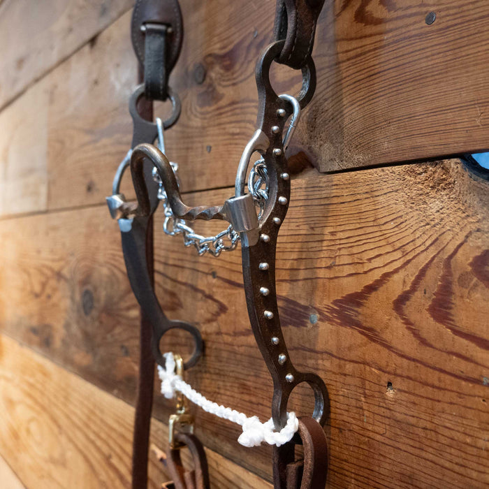 Solid Port Bridle Rig
