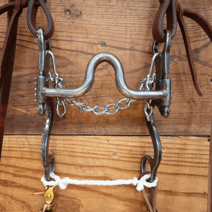 Gordy Alderson Port Bit Bridle Rig