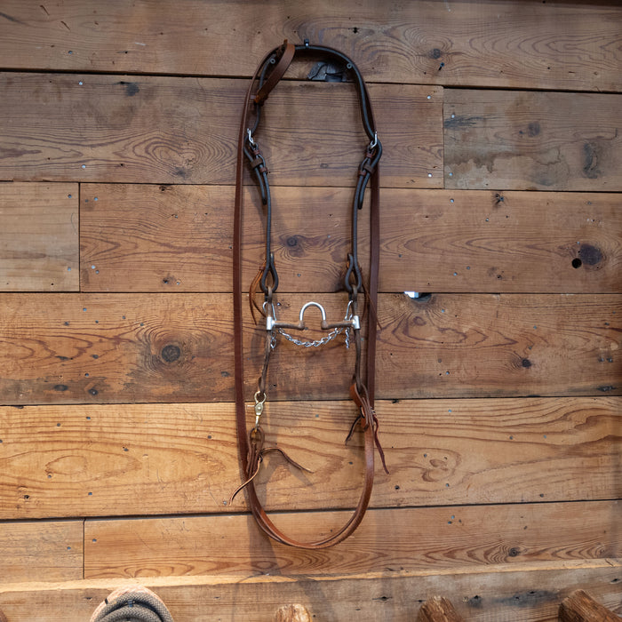 Classic Equine Correction Bit Bridle Rig