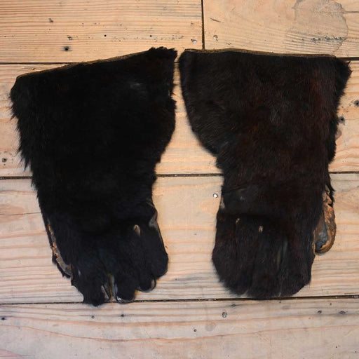 Early and Rare Vintage Bear Skin Gloves Collectibles MISC