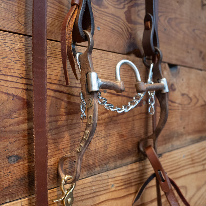 Classic Equine Correction Bit Bridle Rig