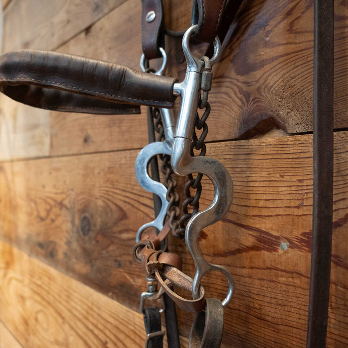 Toklat Hackamore Bridle Rig