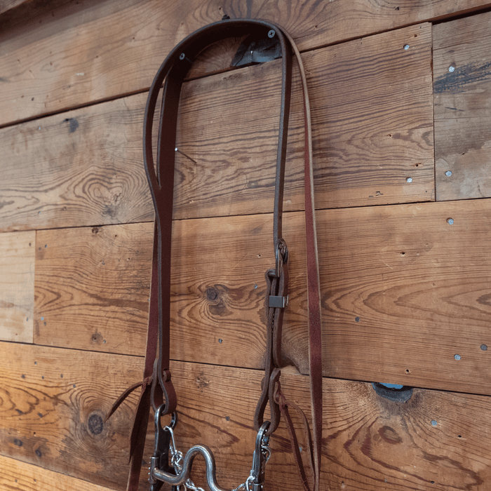 Gordy Alderson Port Bit Bridle Rig